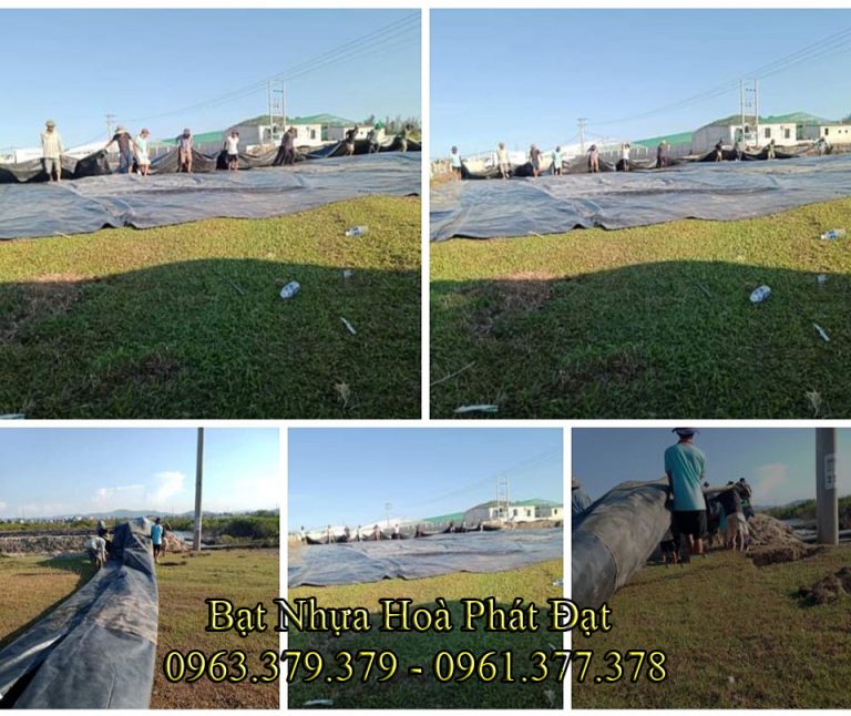 Bảng giá thi công lót bạt ao hồ chứa nước, màng (bạt) chống thấm HDPE đen nuôi cá tôm tại Hải Phòng
